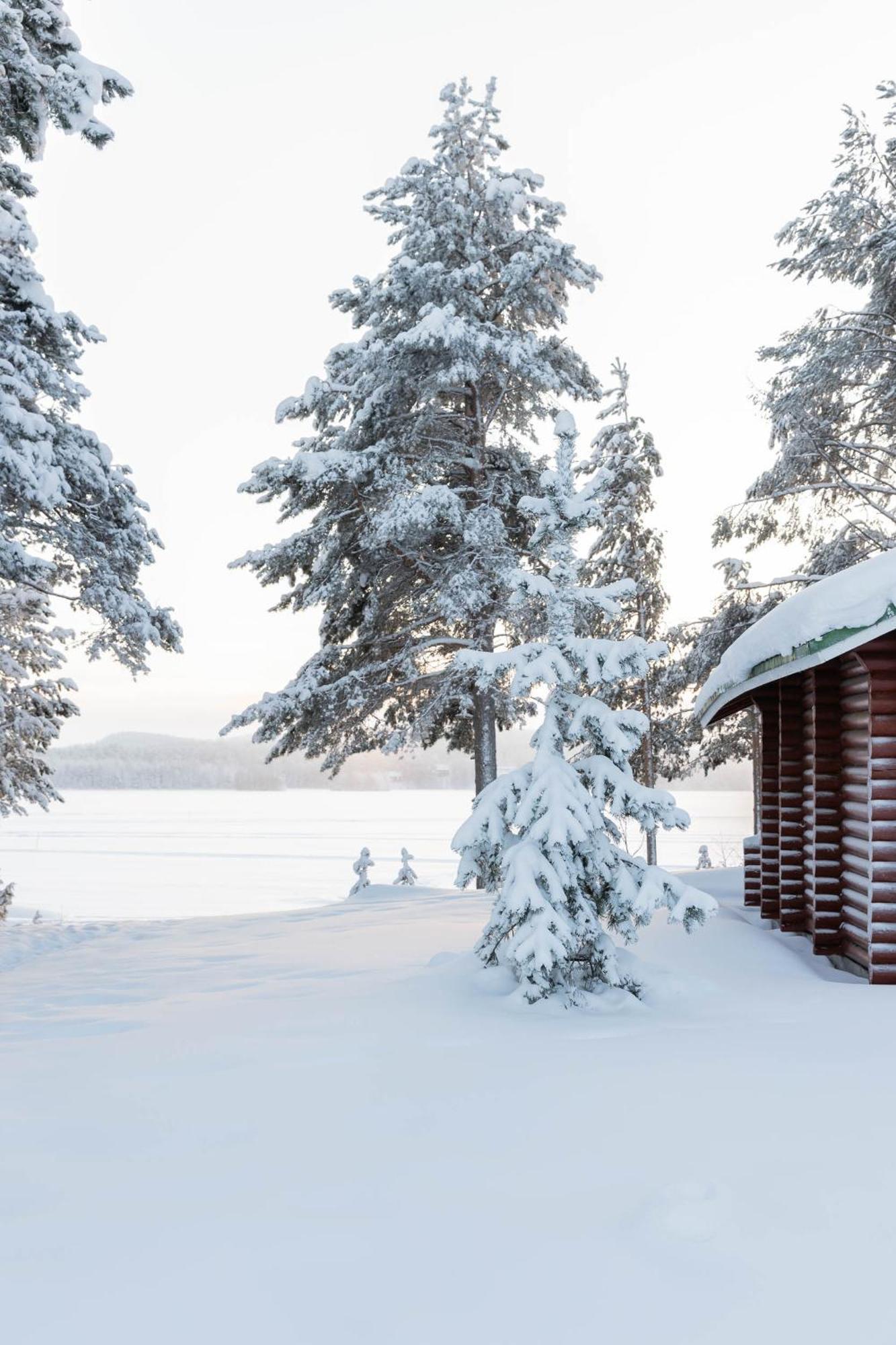 Lapland Arctic Cabins Kemijärvi Zewnętrze zdjęcie