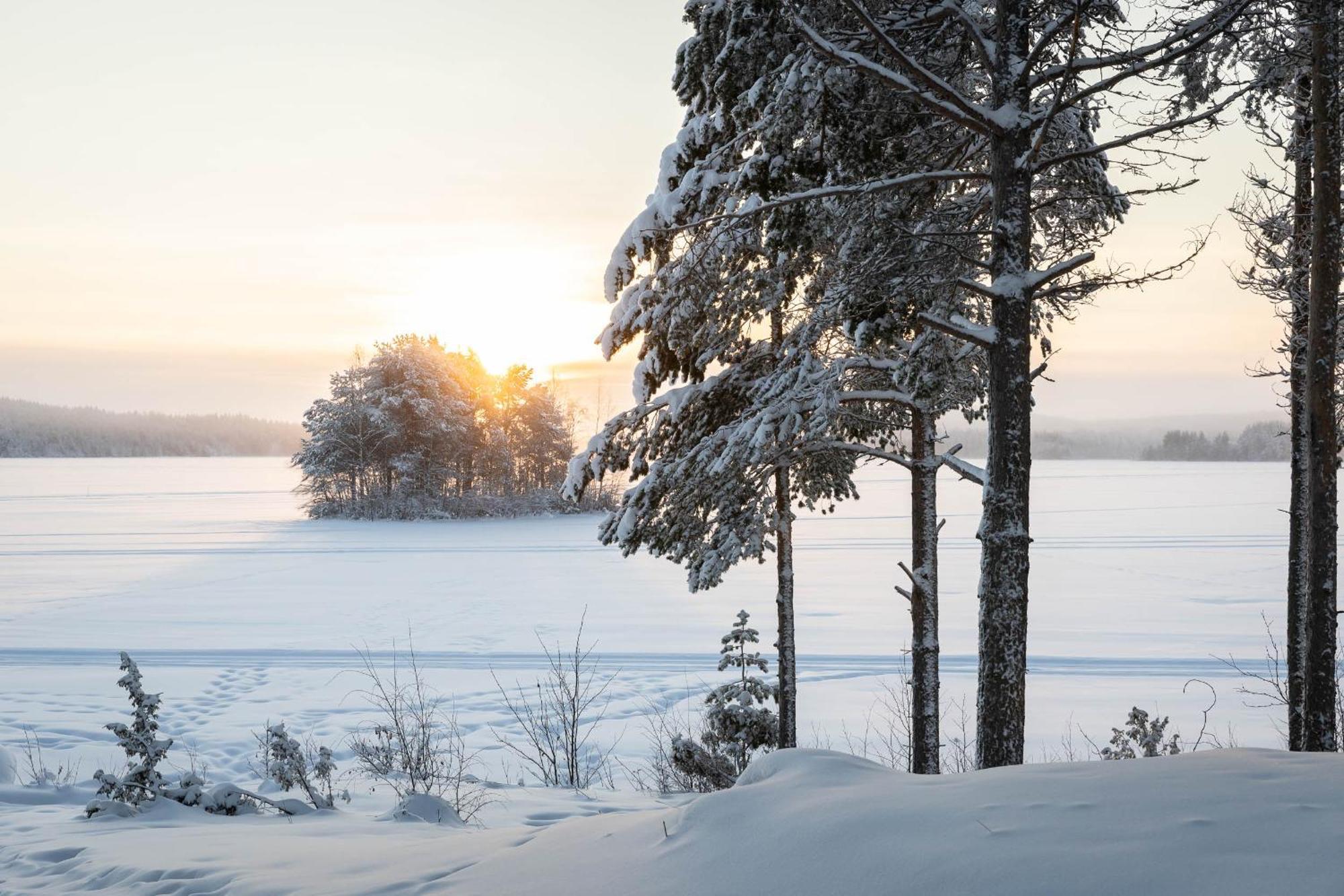 Lapland Arctic Cabins Kemijärvi Zewnętrze zdjęcie