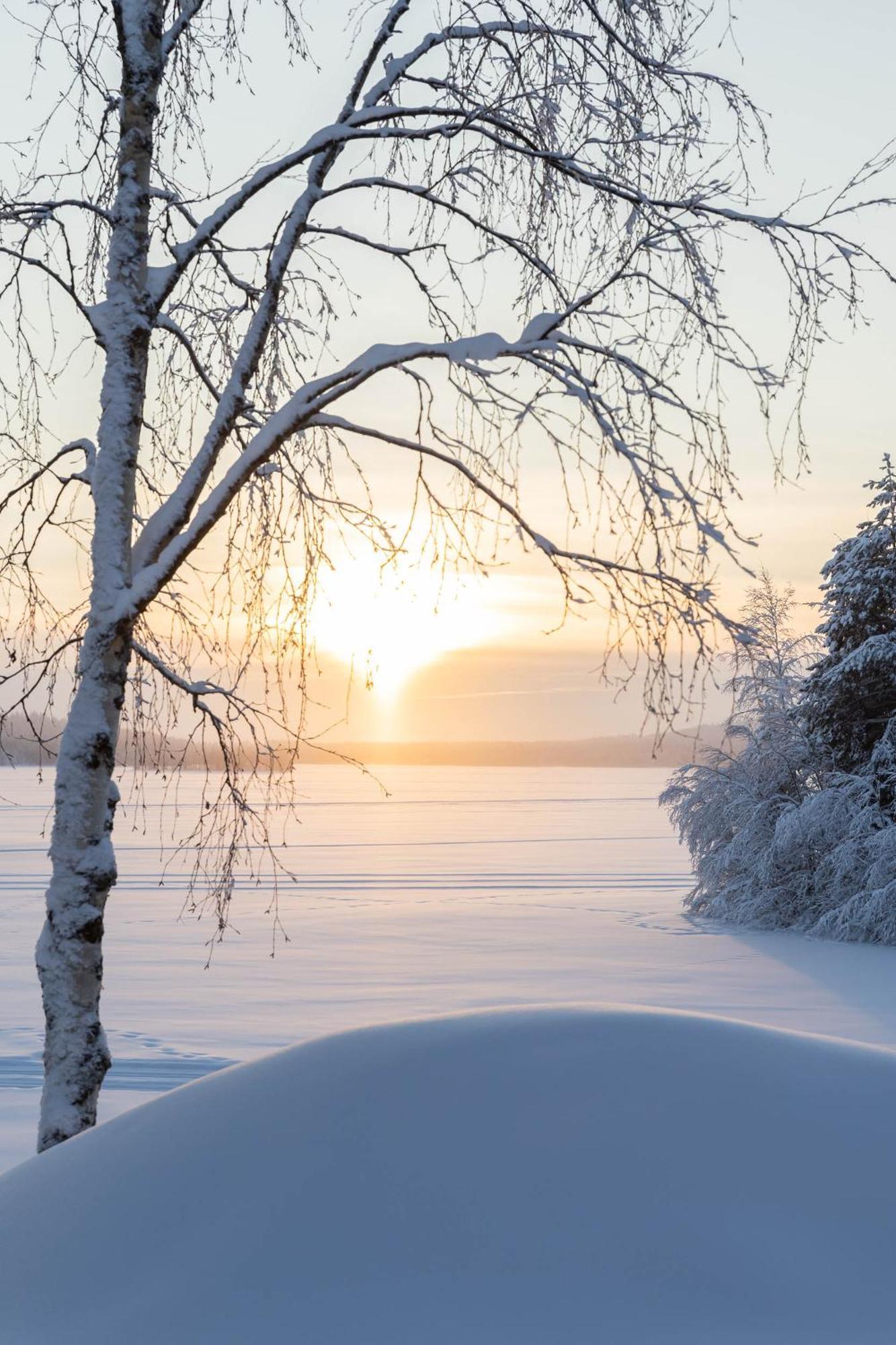 Lapland Arctic Cabins Kemijärvi Zewnętrze zdjęcie